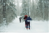 Thumb_5d sports - rundle lake bound